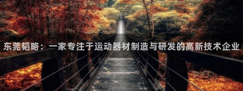 九游体育官网下载招商电话号码是多少号：东莞韬略：一家专注于运