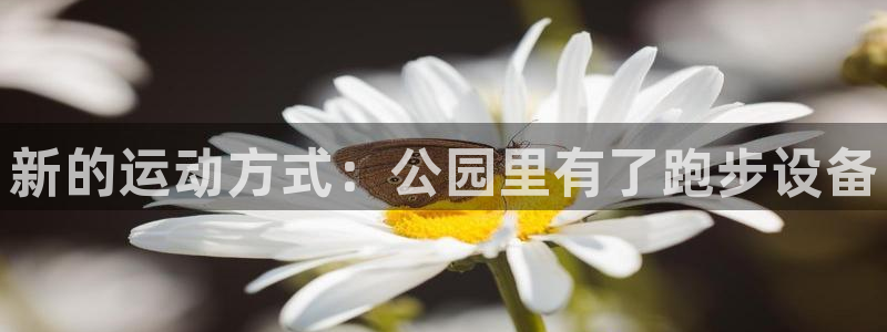 九游体育官方正版app娱乐40996：新的运动方式：公园里有
