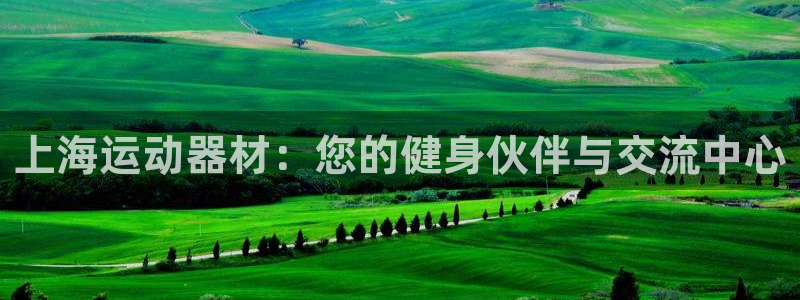 九游体育官方正版app官方