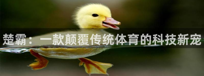 海南九游体育官网下载发展怎么样：楚霸：一款颠覆传统体育的科技