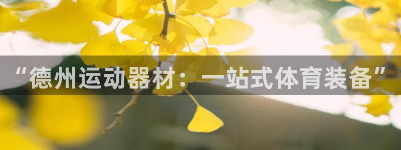 九游体育官网下载官方客服电话