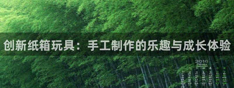 九游体育官方正版app娱乐网站：创新纸箱玩具：手工制作的乐趣