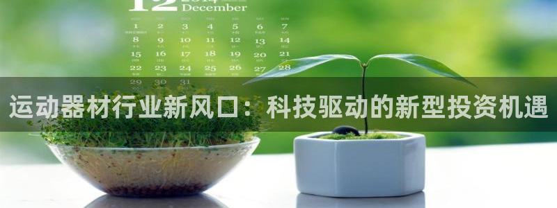 九游官方平台体育：运动器材行业新风口：科技驱动的新型投资机遇