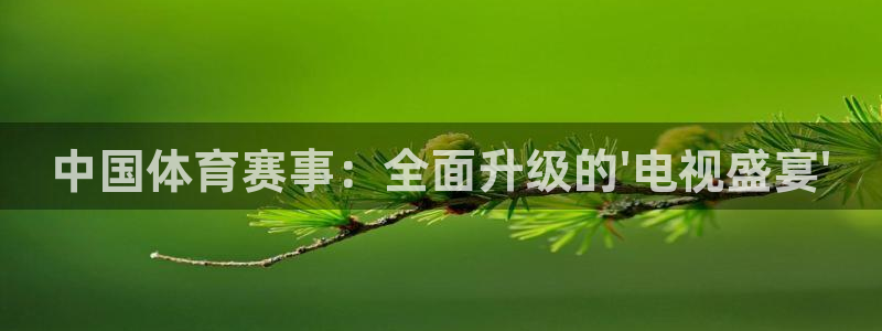 9球直播吧：中国体育赛事：全面升级的\'电视盛宴\'