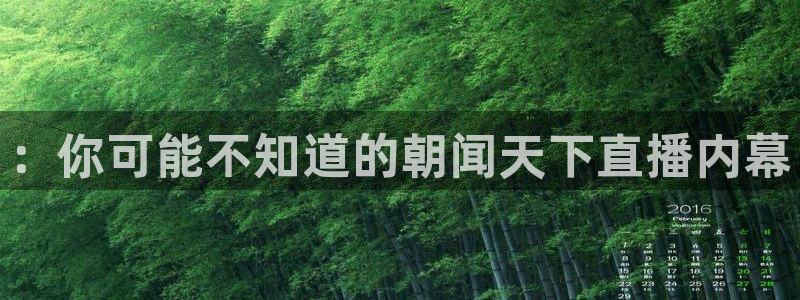 nba体育直播吧：：你可能不知道的朝闻天下直播内幕