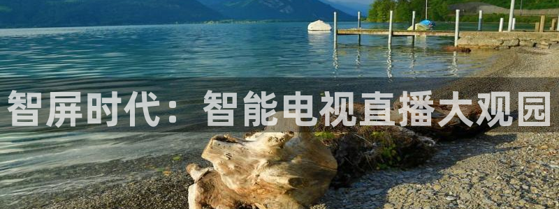 jrs直播低调看直播nba直播jrs直播吧：智屏时代：智能电视直播大观园