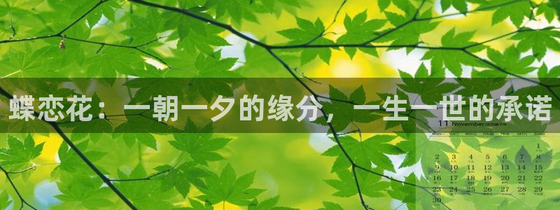 斗球直播吧：蝶恋花：一朝一夕的缘分，一生一世的承诺