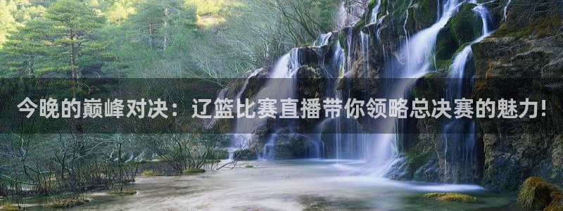 体育直播吧下载免费：今晚的巅峰对决：辽篮比赛直播带你领略总决赛的魅力!