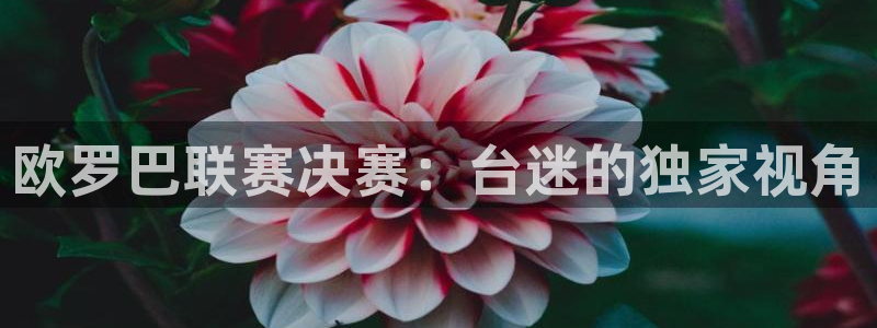 新足球直播吧最流畅的体育直播吧：欧罗巴联赛决赛：台迷的独家视角