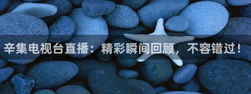cc体育直播吧：辛集电视台直播：精彩瞬间回顾，不容错过！