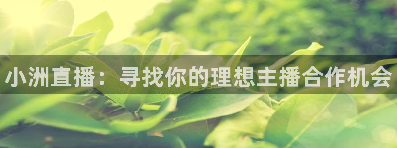 nba在线直播吧极速体育：小洲直播：寻找你的理想主播合作机会
